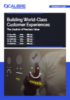 Building World-Class Customer Experiences Brochure