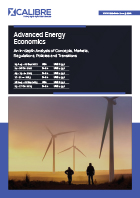 Advanced Energy Economics

 Brochure