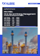 Mini MBA: Oil & Gas and Energy Management Brochure