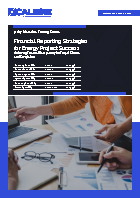 Financial Reporting Strategies for Energy Project Success Brochure