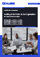 Auditing in the Public Sector Organisation Brochure