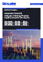 BF019 | Advanced Financial Analysis of Energy Projects

